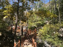 -大岭沟猕猴桃谷风景区