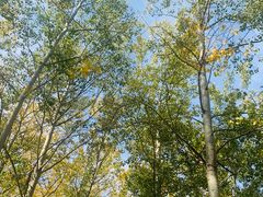 -森林公园(尖草坪区)