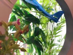 -川悦壹号·川菜(蠡溪路店)