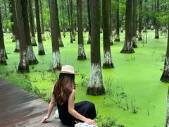 -艾溪湖湿地公园