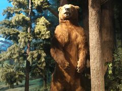 -陕西自然博物馆