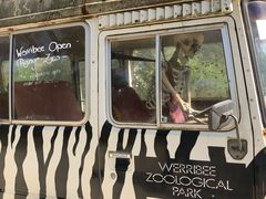 -威勒比开放式动物园