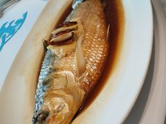 清蒸鲥鱼-宝燕壹号(徐汇店)