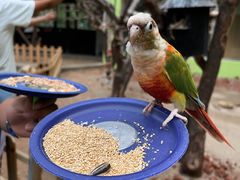 -北京野生动物园