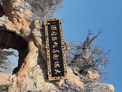 -大槐树寻根祭祖园