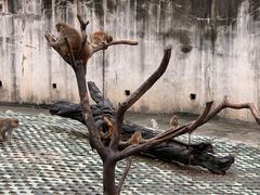 -西安秦岭野生动物园