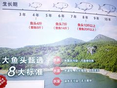 -旺顺阁鱼头泡饼(常营店)