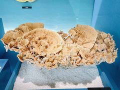 -中国湿地博物馆