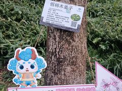 -广州市白云山风景名胜区