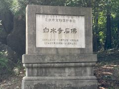 -白水寺森林公园