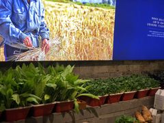 -印巷里主题餐厅(马鞍山店)
