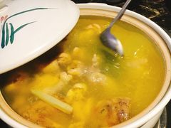 泉水鲜鸡汤-先机泉水鸡汤(南山老君洞店)