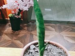 -学习谷日语培训日本留学·多语种外语教学(海淀人大分部)