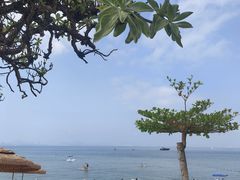 -三亚蜈支洲岛旅游区