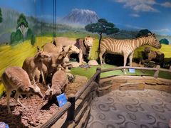 -大连森林动物园