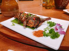 -老滇山寨•云南特色菜•地方菜•民族风情歌舞表演(金碧店)