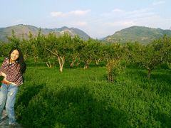 -骏途旅游
