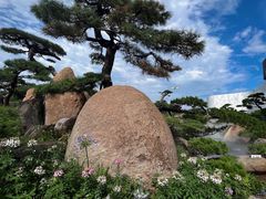 -罗红摄影艺术馆