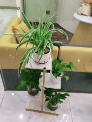 -芳朵美容养生SPA