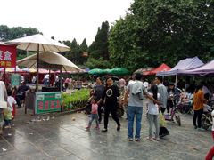 -商丘市人民公园