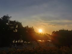 -宝安西湾红树林湿地公园