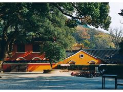 -普陀山风景名胜区-法雨禅寺