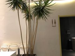 -青梅酒肆PLUS(长白仙岛北路店)