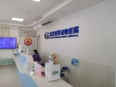 -北京观赏动物医院·24小时大型综合·猫专科·异宠专科