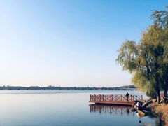 -丁香湖公园