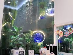 -纳吉亚猫专科动物医院·北北分院