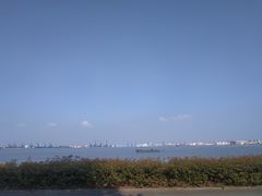 -海鸥岛