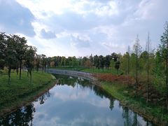 -眉山湿地公园(东坡区)