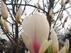 -成都中医药大学(温江校区)