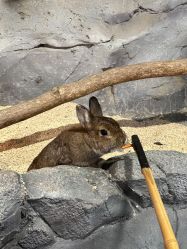 -Zoolung Zoolung动物主题公园(海信广场店)