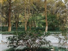 -杭州植物园