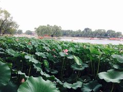 -小王府(什刹海店)