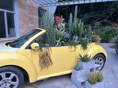 -深圳仙湖植物园