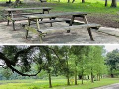 -南宁良凤江国家森林公园