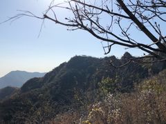 景点-大岭沟猕猴桃谷风景区
