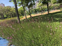 -咸阳湖景区