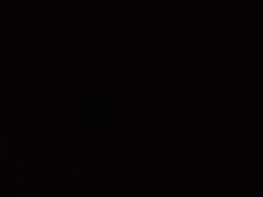 -鹭园酒家·四十年老字号