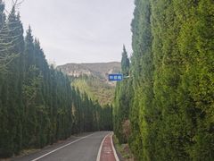 -青龙山生态文化旅游区(慈云寺)