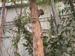 -呀路古热带植物园