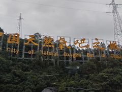 -牛背梁国家森林公园