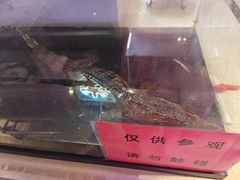 -海韵之星邮轮水会(明发商业广场店)