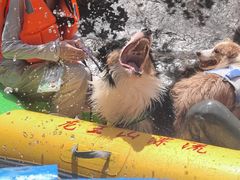 -安吉龙王山峡谷漂流