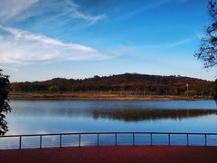-羊山湖公园