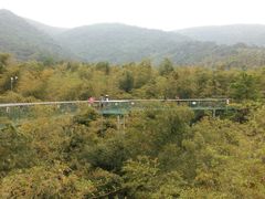 -陶祖圣境风景区