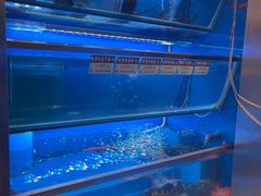 -協成海鮮火鍋(老店)