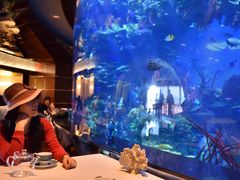 -迪拜帆船酒店海底餐厅